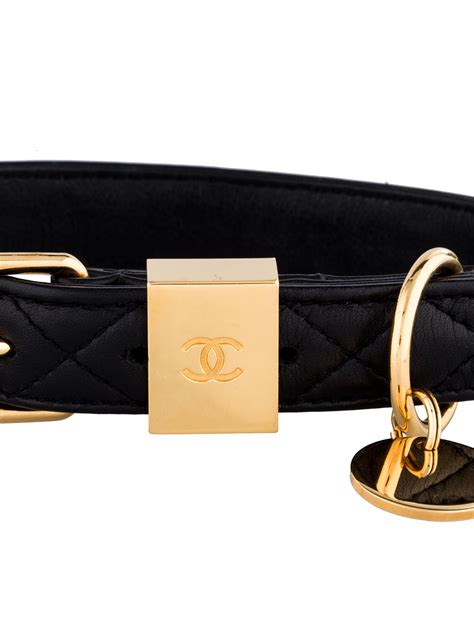 chanel dog collar price